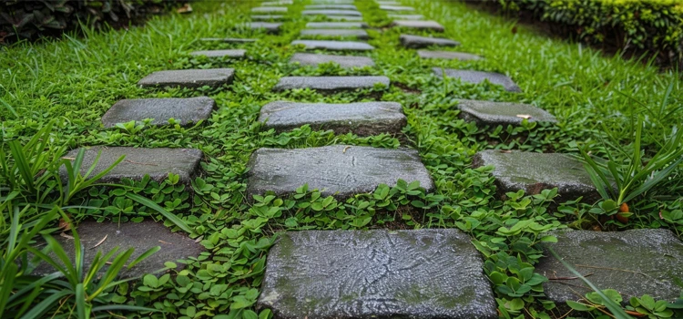 Stepping Stone Style Walkways Stepping Stone Style Walkways