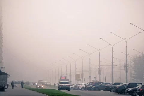 Build Green, Breathe Clean: Protect Tricity Homes from Diwali and Crop-Burning Smog