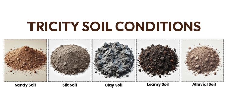 Tricity Soil Conditions